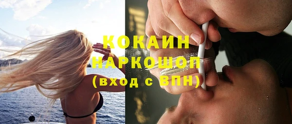 ешки Алексин