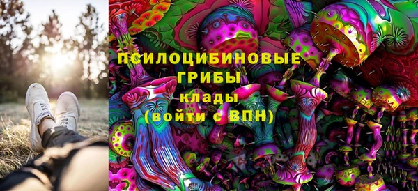 герыч Алзамай